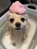ビーツピンクパック「🫧💖ビーツピンクパック大好評中💖🫧」