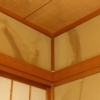 【梅雨前に確認したい雨漏り点検】屋根・外壁の小さな傷みを、早めに見つけておきましょう
