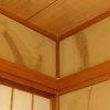 【梅雨前に確認したい雨漏り点検】屋根・外壁の小さな傷みを、早めに見つけておきましょう