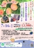 「7月・8月出発！①フルーツ（桃＆ﾌﾞﾙｰﾍﾞﾘｰ）狩りと信玄餅詰め放題体験　②地下神殿「春日部 首都圏外郭放水路」見学の日帰りバスツアーのご案内」