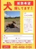 「迷い犬の情報です。無事に見つかりますように🙏」