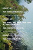 「🏝️ヤシの木接骨院の直近の空き枠🏝️」