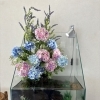 オシャレな初夏の水槽/静岡のアクアリウムレンタルとプロデュースはアクアデザインブルース/