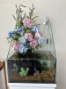 紫陽花の水槽「オシャレな初夏の水槽/静岡のアクアリウムレンタルとプロデュースはアクアデザインブルース/」