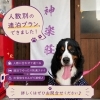 「実は“1泊→連泊変更”増えてます。」 神楽荘で、ゆっくり出雲を過ごす方が増えています♪