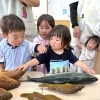 八女市で保育園をお探しの方へ　🐟園長先生のお魚触れ合い教室🐟