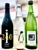 「～湿熱雨催～【福島区・日本酒セラー HARETOKE】」