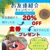 お友達紹介キャンペーンのご案内【5/23～6/30】