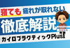 寝ても疲れが取れない方へ「40代女性に増えている“疲れが抜けない身体”の正体とは？[安来市・米子市・松江市　カイロプラクティック・整体]」