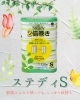「商品紹介～ステディS～」