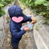 イチゴ狩りに行ってきました！