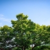 5月21日、今日は何の日　 八王子市片倉町の個別指導学習塾『和泉学習研究所』～中高受験からその先の未来までサポート～ 