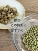 緑豆🌱「当店のランチに付きますプチデザートは、その日の天気や気温で内容が変わっています。」