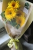 何気なく贈る花のギフト「ひまわりがつくる印象的な瞬間。ひまわりを贈る」