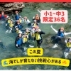 【5/31(日)12:00〜募集開始】8/21(金)〜23(日)海キャンプ＠大房岬自然の家