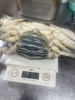 こだわり高級食材を堪能「カンジャンケジャンのテイクアウト承ります（100g・税込1,300円）」