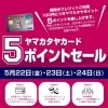宮崎山形屋【5ポイントセール】