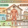 筋肥大と一軒家