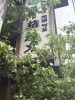 「雨上がりのヤマボウシと手彫り看板がお迎えします」