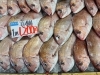 「京都府産の旬魚いろいろ！真鯛1匹1,200円＆トビウオ1パック700円」