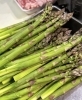 「北海道美瑛の『グリーンアスパラ』入荷です！」