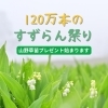 明日より120万本のすずらん祭り開幕です