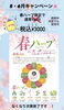 「5・6月限定 春ハーブよもぎ蒸しキャンペーンのご案内」