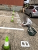 駐車場の地面に文字を書いている様子「駐車場文字書き工事」