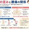 【関市の腰痛改善】骨盤の歪みと慢性腰痛の関係とは？｜当日予約OK・腰痛/肩こり/交通事故対応