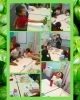 発見がいっぱいの学習環境「フレッシュバジル実験で「leaf・stem・roots」を体験しました」