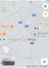 「迷い犬の情報です(第二報）」
