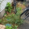 管理マンションの草取り・共用部清掃を行いました！