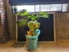 植物の生命力感じる開放空間「空港近く松茂町の非常に分かりにくいカフェ」