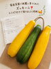 届きたての新鮮野菜で調理するのが楽しみ「もぎたてズッキーニをいただきました🥒家庭菜園の恵みにほっこり」