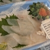 今日のオススメはフグです‼️‼️‼️‼️
