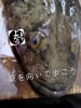 「マゴチ入荷致しました！」