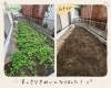諦めていた雑草と縁　きれいな空間を！「草刈り・草むしり・防草シート施工はお任せください！」