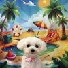 🐶トリミングサロン🫧🛁～マルチーズ編～