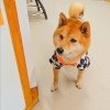 今日のお友達