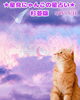 猫たちの星占いをチェック！ 杉並版「🌟 杉並区版☆12星座占い 🌟 まいぷれ☆星見にゃんこ 🌟 5/25〜5/31 🌟 」
