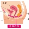 骨盤底筋が弱るとどうなる？お悩みとの関係について