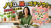 海苔たっぷり！腸内環境を整えよう「ノリは、腸のごちそう❗️腸内細菌が喜ぶ栄養🤩🦠【岡谷市のおすすめ海苔×お茶専門店】」