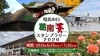 2026年　初夏🍃の葛南スタンプラリー開催中！「自然🍃と歴史を巡る！県民の日「葛南スタンプラリー2026」」