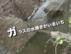「静岡市駿河区で窓ガラス撥水コーティングならNOJ静岡店｜雨の日も視界スッキリ施工解説☔」