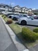 整然と並ぶスポーツカー「展示場の環境整備を実施しました！スポーツカーが映える植栽と設備のご紹介」
