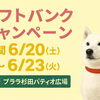 【プララ杉田のイベント情報】プララ2階、ソフトバンク京急杉田店からキャンペーンのご案内です。