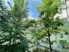 中庭「松江市で痔の日帰り手術1,000例を達成いたしました」