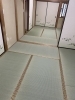 「磯子区森　表替え」