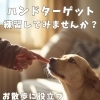 暑い日はお家でハンドターゲットの練習してみませんか？🖐️🐕
