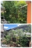 お庭の木の剪定・伐採・草刈りをしました！「川西市南花屋敷で庭木のお手入れをしました！」